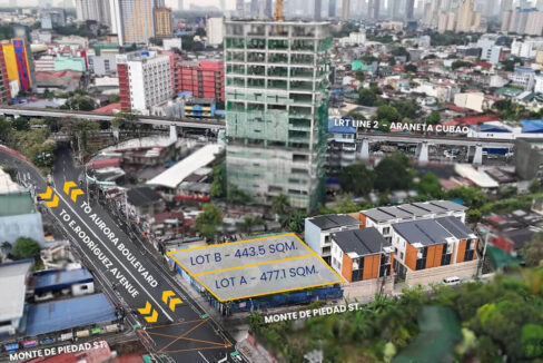 Lot for Sale in New Manila